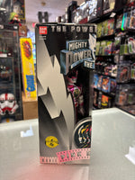 Pink Ranger Metallic Edition (Vintage MMPR Power Rangers, Bandai) NEW