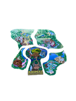 Animal Kingdom Map Pin (Walt Disney World, Pin Traders)