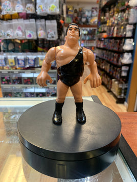 Andre the Giant 9061 (Vintage WWF WWE, Hasbro) - Bitz & Buttons