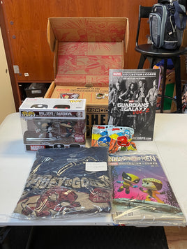 Superhero Showdown Box (Funko Pop! Collector Corps, Marvel) - Bitz & Buttons