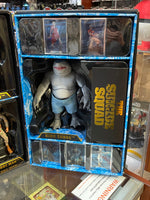 Suicide Squad 5 Pack Collectors Set (DC Multiverse, Mcfarlane)