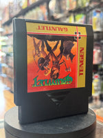 Tengen Gauntlet (Vintage Nintendo NES, Video Game) - Bitz & Buttons