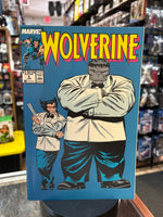 Wolverine #8 -Patch & Grey Hulk- (Marvel, Vintage Comics)