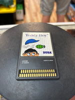 Teddy Boy -Sega Card- 0845 (SEGA Master System SMS, Video Games) **COMPLETE**