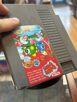 Taito Bubble Bobble  (Vintage Nintendo NES, Video Game) - Bitz & Buttons