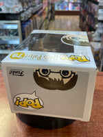 Broken Arm Harry Potter #79 (Funko Pop, Harry Potter) - Bitz & Buttons