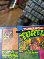 Raphael -10 Back Soft Head- 1765  (Vintage TMNT, Playmates) **SEALED**