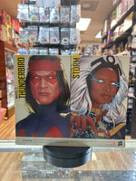 Storm & Thunderbird (Marvel Legends, Hasbro) **SEALED**