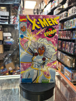 Storm -VHS Retro- (Marvel Legends, Hasbro) **SEALED**