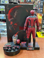 Daredevil Born Again TMS154 (Marvel, Hot Toy) **SEALED**