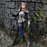 Female Knight of Accord  (Boss Fight Studios, Vitruvian Hacks) SEALED - Bitz & Buttons