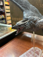 Rodan 2019 Pvc Figure Garage Toy (Godzilla II TOHO, X Plus Kaiju Series, Monsterverse) INCOMPLETE