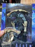 Chrysalis Alien (NECA, Predator vs Alien) **SEALED**