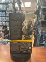 Neel  Attin -Skeleton Crew- (Star Wars Black Series, Hasbro) **SEALED**