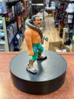 Jake the Snake Roberts (Vintage WWF WWE, Hasbro) COMPLETE - Bitz & Buttons