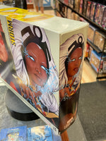 Storm & Thunderbird 2 Pack (X-Men, Marvel Legends, Hasbro) SEALED