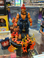Akuma Arcade Edition (Street Fighter Capcom, Storm Collectibles) COMPLETE - Bitz & Buttons