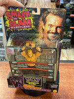 Diamond Dallas Page 1427 (WCW Smash N' Slam, Toybiz) **SEALED**