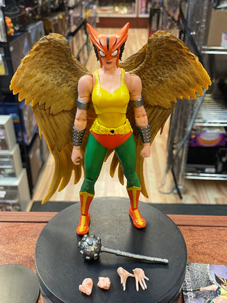 Hawk Girl **CHASE** (DC McFarlane, DC Multiverse) COMPLETE - Bitz & Buttons