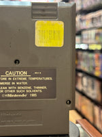 Adventure Island (Vintage Nintendo NES, Video Game) - Bitz & Buttons