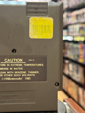 Adventure Island (Vintage Nintendo NES, Video Game) - Bitz & Buttons