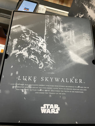 Deluxe Luke Skywalker #DX23 (Hot Toys, Star Wars) COMPLETE - Bitz & Buttons