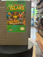 Adventure Island (Vintage Nintendo NES, Video Game) - Bitz & Buttons