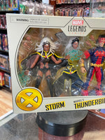 Storm & Thunderbird 2 Pack (X-Men, Marvel Legends, Hasbro) SEALED