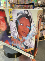 Storm & Thunderbird 2 Pack (X-Men, Marvel Legends, Hasbro) SEALED