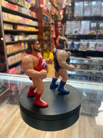 Natural Disasters 0233 (Vintage WWF WWE, Hasbro)