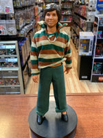 Parker Stevenson 12" Figure (Vintage Hardy Boys, Kenner) - Bitz & Buttons