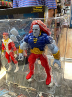 Starfox & Champion of the Universe (Marvel Legends, Hasbro) OPEN/COMPLETE - Bitz & Buttons