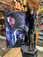Infinity War Bucky Barnes 1/6 Scale MMS509 (Marvel, Hot Toys) COMPLETE