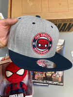 Spider-Man Box (Funko Pop! Collector Corps, Marvel) - Bitz & Buttons