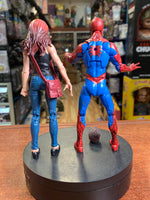 Mary Jane & Spider-Man 2 Pack (Marvel Legends, Hasbro) LOOSE