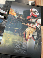 Incinerator Stormtrooper TMS012 1/6 Scale (Star Wars, Hot Toys) COMPLETE - Bitz & Buttons