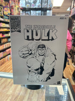 Incredible Hulk Grey Retro (Marvel Legends, Hasbro) *SEALED*