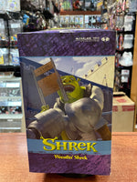 Wrestling Showdown Shrek (Vintage Shrek, McFarlane Toys) **SEALED** - Bitz & Buttons
