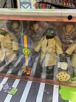 Turtles in Disguise (TMNT Ninja Turtles, NECA) **SEALED**