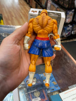 Sagat No.12 (Street Fighter, Bandai SH Figuarts) COMPLETE
