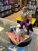 Triple H as Skeletor (WWE MOTU, Mattel) **COMPLETE**