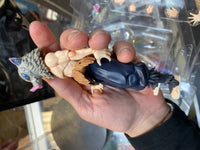 Inosuke Hashibira 1/12 (Buzzmod, Aniplex Demon Slayer) Complete - Bitz & Buttons