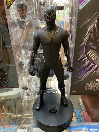 Black Panther MMS470 1/6 Scale (Marvel Black Panther, Hot Toys) INCOMPLETE - Bitz & Buttons