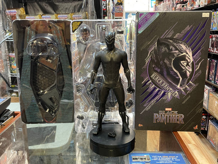 Black Panther MMS470 1/6 Scale (Marvel Black Panther, Hot Toys) INCOMPLETE - Bitz & Buttons