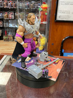 Triple H as Skeletor (WWE MOTU, Mattel) **COMPLETE**