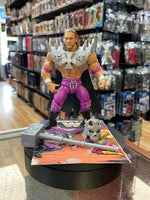 Triple H as Skeletor (WWE MOTU, Mattel) **COMPLETE**