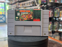 Donkey Kong Country (Vintage Nintendo SNES, Video Game) ( - Bitz & Buttons