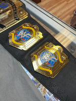 Light Heavyweight Championship Belt with Bag (Vintage WWF, Figures Toy Company)