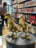Velociraptor Set of 2 (Jurassic Park Hammond Collection, Mattel)