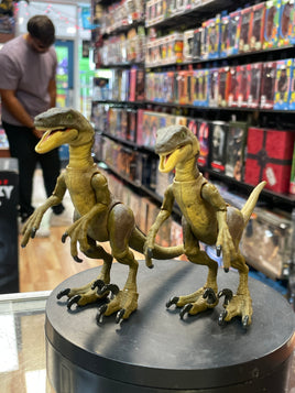 Velociraptor Set of 2 (Jurassic Park Hammond Collection, Mattel)